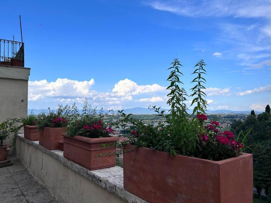 Apartmán La Terrazza Di Ciro Pinsuti Sinalunga Exteriér fotografie